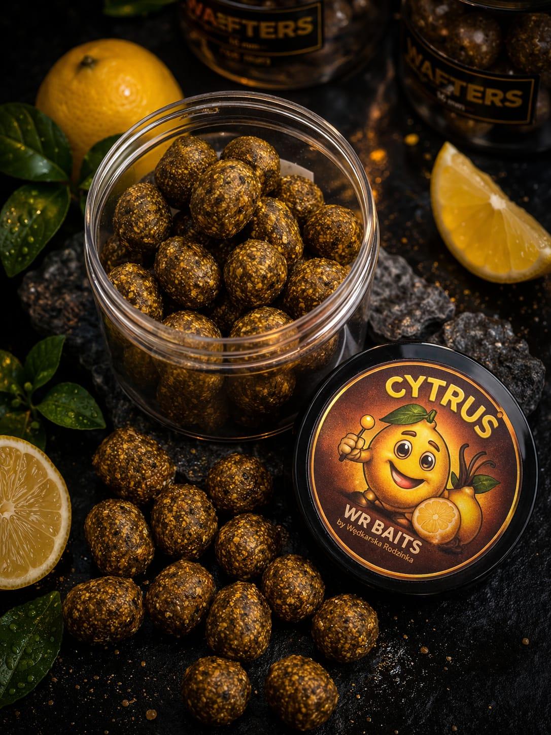 Waftersy karpiowe WR Baits CYTRUŚ